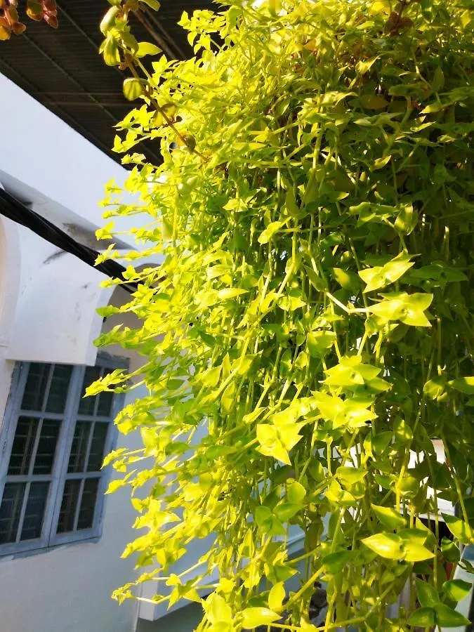 Heather Home Stay Kochi India